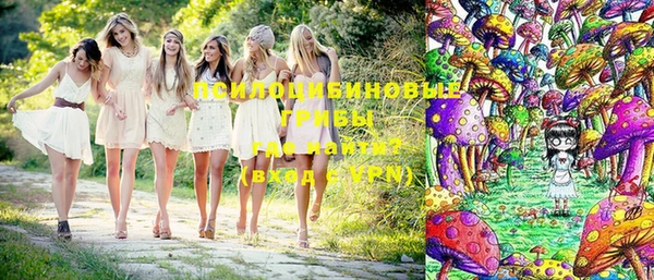 спиды Алексеевка