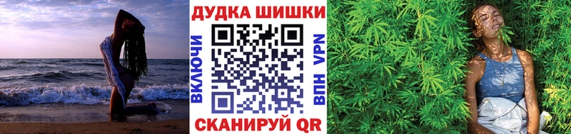 Конопля гибрид  Верхняя Салда 